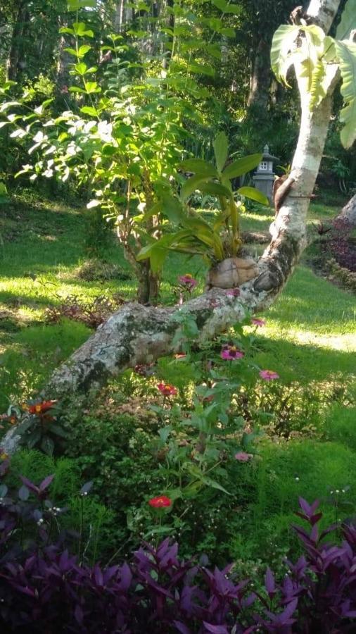 Balian Bliss Retreat Resort - Adults Only Exterior foto